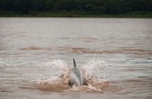 3-Day Amazon Rainforest Tour from Iquitos