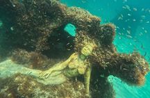 Fort Lauderdale: Snorkel, Kayak & SUP w/ Reefs & Sculptures