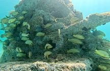 Fort Lauderdale: Snorkel, Kayak & SUP w/ Reefs & Sculptures