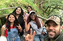 4 Waterfalls Guided Hike from Cardiff – Walk Behind the Falls!