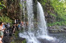 4 Waterfalls Guided Hike from Cardiff – Walk Behind the Falls!