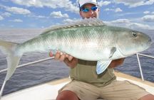 Private Deep Sea Fishing Trip with Professional Crew Dubai Marina