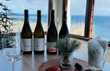 La Palma Wines Panorama 360 Wine Tasting