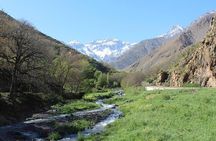 High Atlas Mountains & Agafay Desert Day Trip