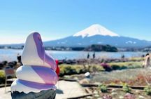 Mt. Fuji Private Tour to Hakone with Pro Guide in Luxury Vehicle