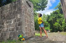 Northern Treasures of Dominica: River | Falls & Beach Tour