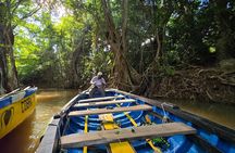 Northern Treasures of Dominica: River | Falls & Beach Tour