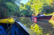 Northern Treasures of Dominica: River | Falls & Beach Tour