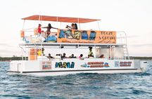 Adults Only Booze and Cruise Swimming Pigs Snorkeling Sightseeing