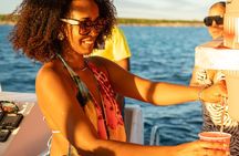 Adults Only Booze and Cruise Swimming Pigs Snorkeling Sightseeing