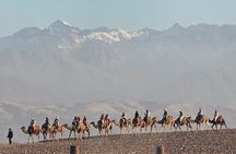 Desert Agafay full package: Quad bike + camel trek + dinner show