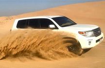 Abu Dhabi Desert Safari with Red Dunes 4x4 Pick Drop Dinner Shows
