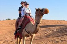 Abu Dhabi Desert Safari with Red Dunes 4x4 Pick Drop Dinner Shows