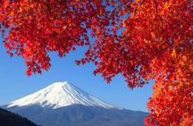 Hakone and Fuji Tour Fully Custom and Private with English Driver