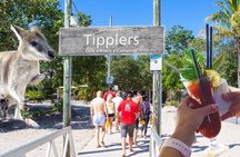 Gold Coast 2-Hour Hidden Island Jetski Tour from Surfers Paradise