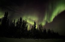 2 Days Aurora Experience in Yellowknife