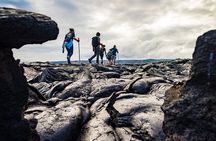 Hawaii Volcanoes National Park Hiking Small Group Adventure