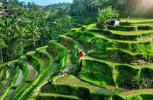 Ubud Private Custom Day Tour