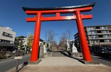 Kamakura Day Trip from Tokyo: Private Guided Walking Tour