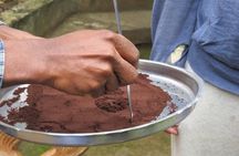 Authentic Arusha Coffee Experience