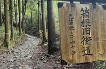 Hakone Old Tokaido Road Hiking Tour to Hakone Shrine