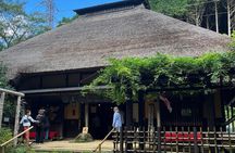 Hakone Old Tokaido Road Hiking Tour to Hakone Shrine