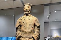 Terracotta tickets with professional guide in English /Italian 