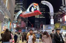 Private & Fully Customized Tokyo/Yokohama Tour