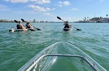Clear Kayak Tour of Clearwater Beach