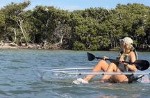 Clear Kayak Tour of Clearwater Beach
