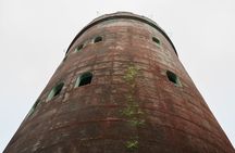 El Yunque Educational Rainforest Walk Easy and Family Friendly