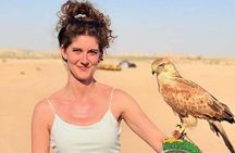 Red Dunes 4x4 Pick Drop Abu Dhabi Desert Safari with Dinner