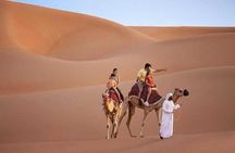 Red Dunes 4x4 Pick Drop Abu Dhabi Desert Safari with Dinner