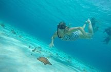 Private Sky Snorkeling Tour
