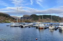 Bergen: Scenic Hardangerfjord with Waterfalls & Lunch at a Garden