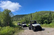 Boreal Immersion at the Saguenay Fjord