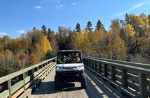 Boreal Immersion at the Saguenay Fjord