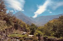 From Marrakech : Atlas Mountains 4 hours hike to talamrout summit