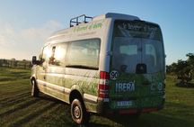 Iberá Wetlands Safari