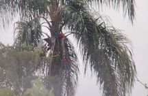 Iberá Wetlands Safari