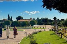 Athens wine tour: Wine museum and wine tasting with food pairing