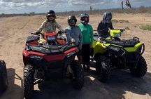 Desert and Dunes ATV Adventure in La Paz BCS Mexico