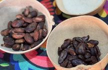 Chocolate Tasting and Crafting Workshop in Cabo San Lucas