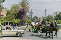 Horse carriage: tour around old Marrakech with hotel transfer