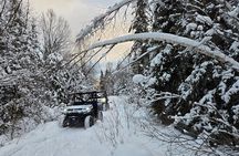 Boreal Immersion at the Saguenay Fjord