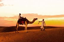 Dubai Desert Safari Adventure 