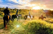 Hunter Valley Sunset Horse Ride - 90 Minutes