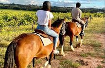 Hunter Valley Sunset Horse Ride - 90 Minutes