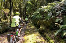 One Day Tour from Hokitika on Wilderness Trail by eBike