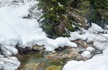 Photography, Gondola & Snowshoeing